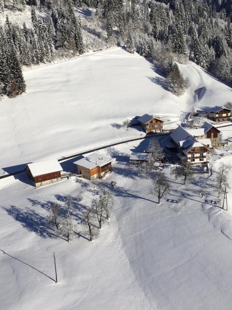 Apartamento Bergbauernhof Schluder Hermagor-Pressegger See Exterior foto